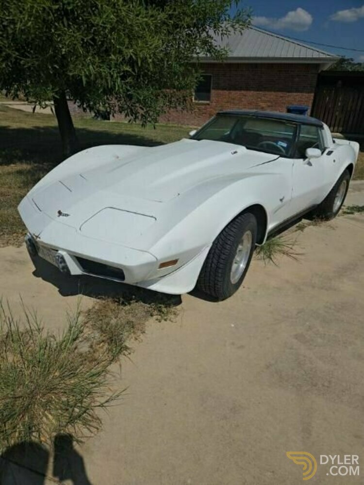 1979 Chevrolet Corvette, foto 3