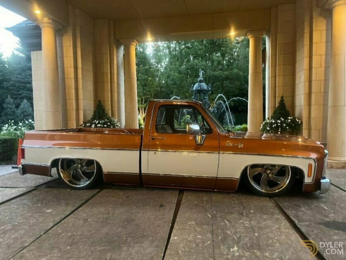 1980 Chevrolet Scottsdale Pickup, foto 1