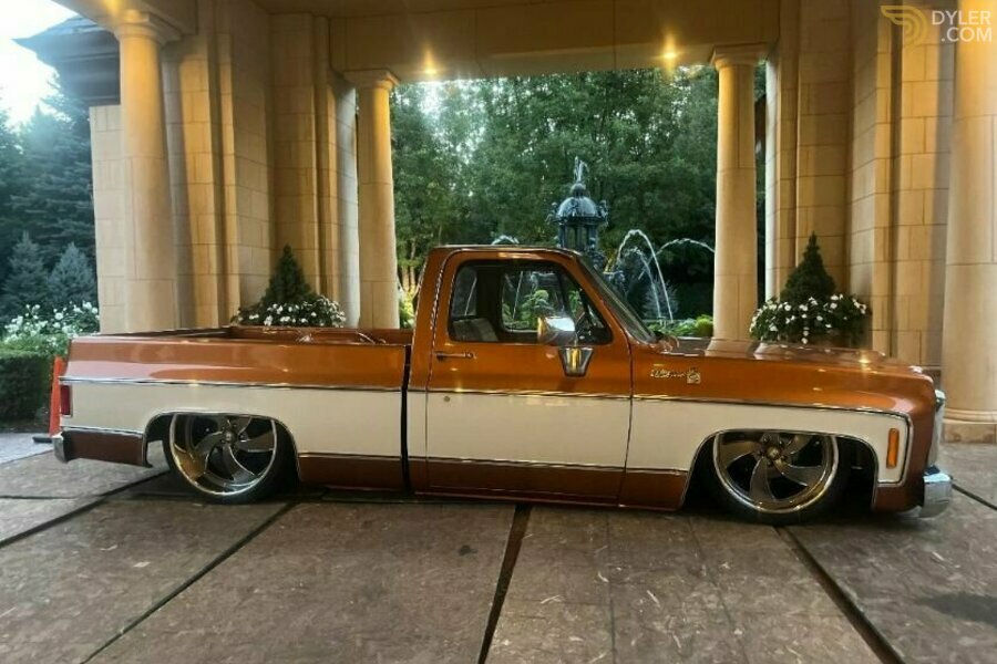 Chevrolet Scottsdale Pickup Pickup 1980