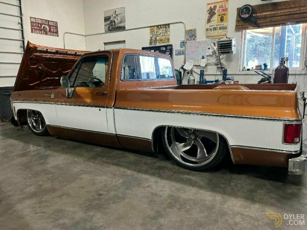 1980 Chevrolet Scottsdale Pickup, foto 2