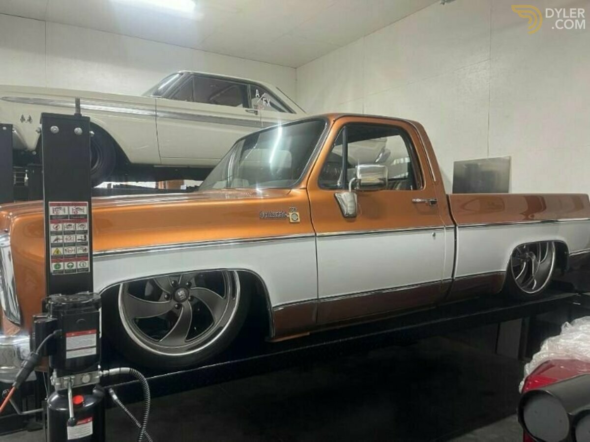 1980 Chevrolet Scottsdale Pickup, foto 3
