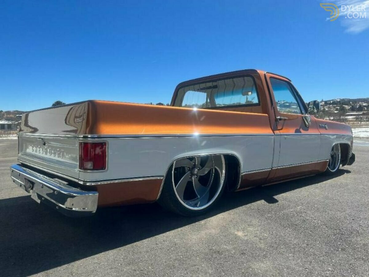 1980 Chevrolet Scottsdale Pickup, foto 7
