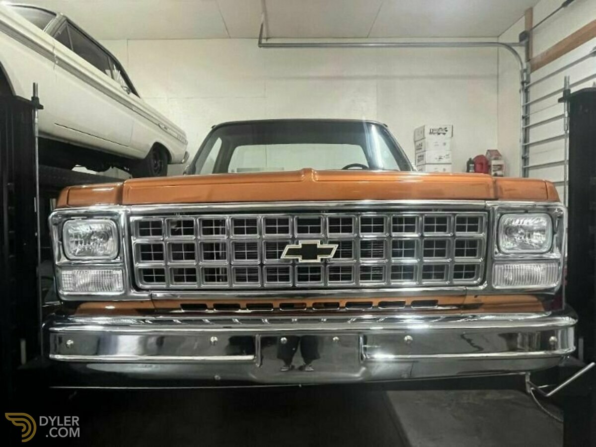 1980 Chevrolet Scottsdale Pickup, foto 9