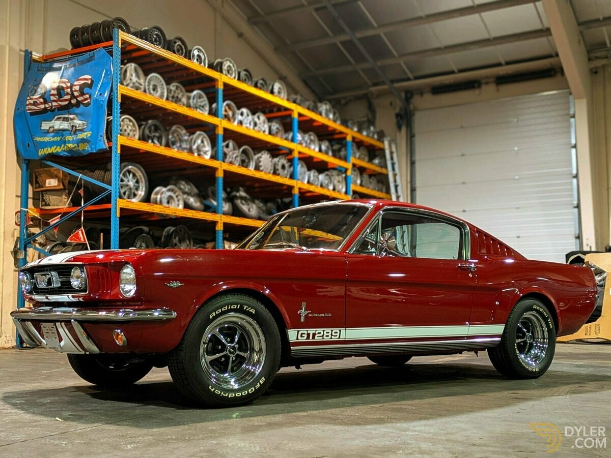 1966 Ford Mustang Fastback 2+2 GT289, foto 1
