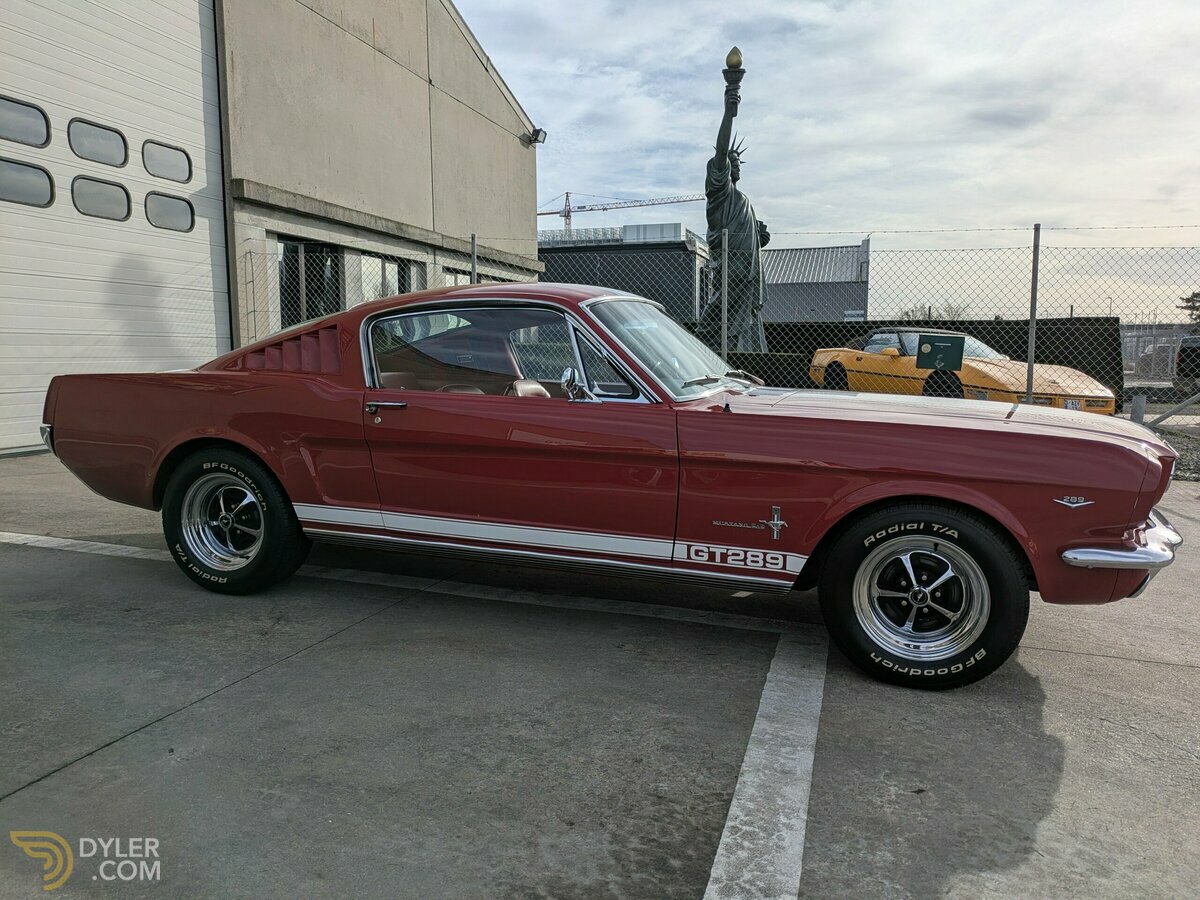 1966 Ford Mustang Fastback 2+2 GT289, foto 5