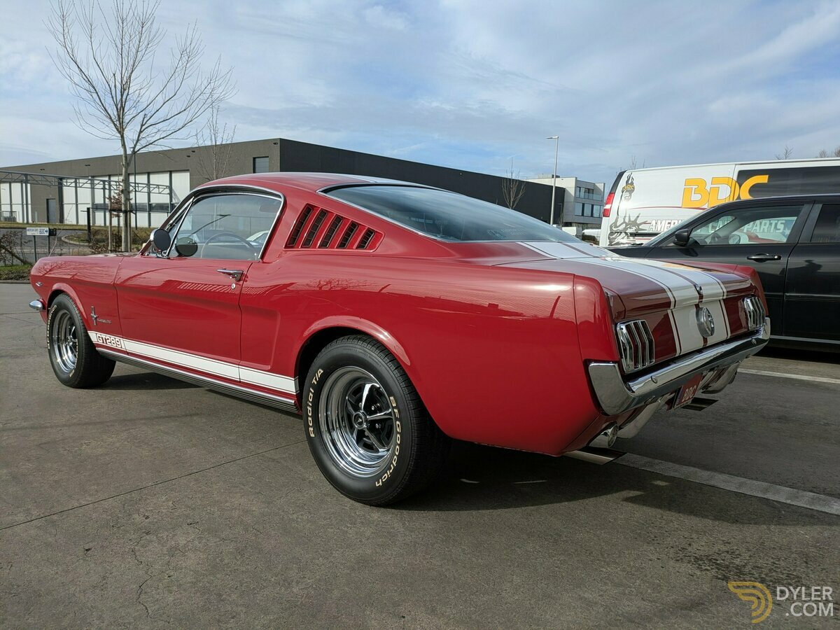 1966 Ford Mustang Fastback 2+2 GT289, foto 6
