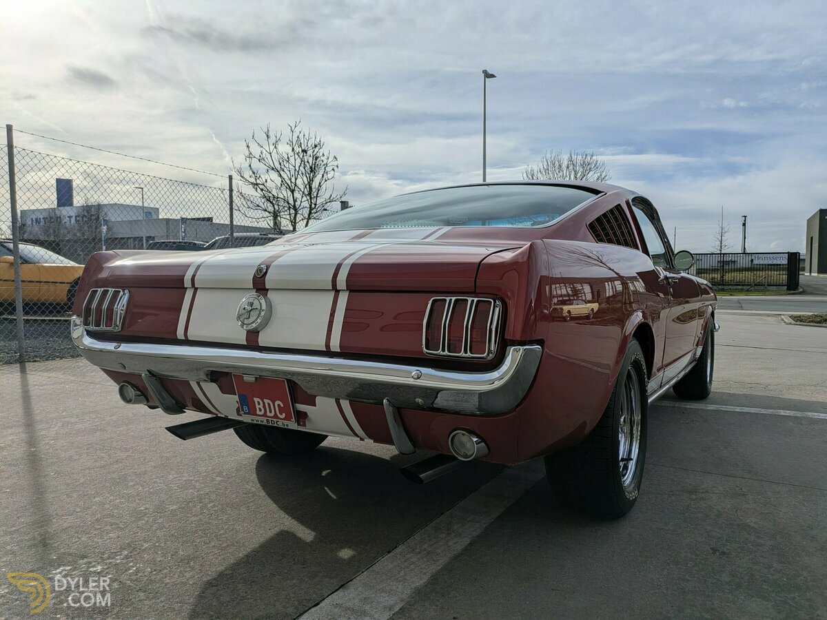 1966 Ford Mustang Fastback 2+2 GT289, foto 7