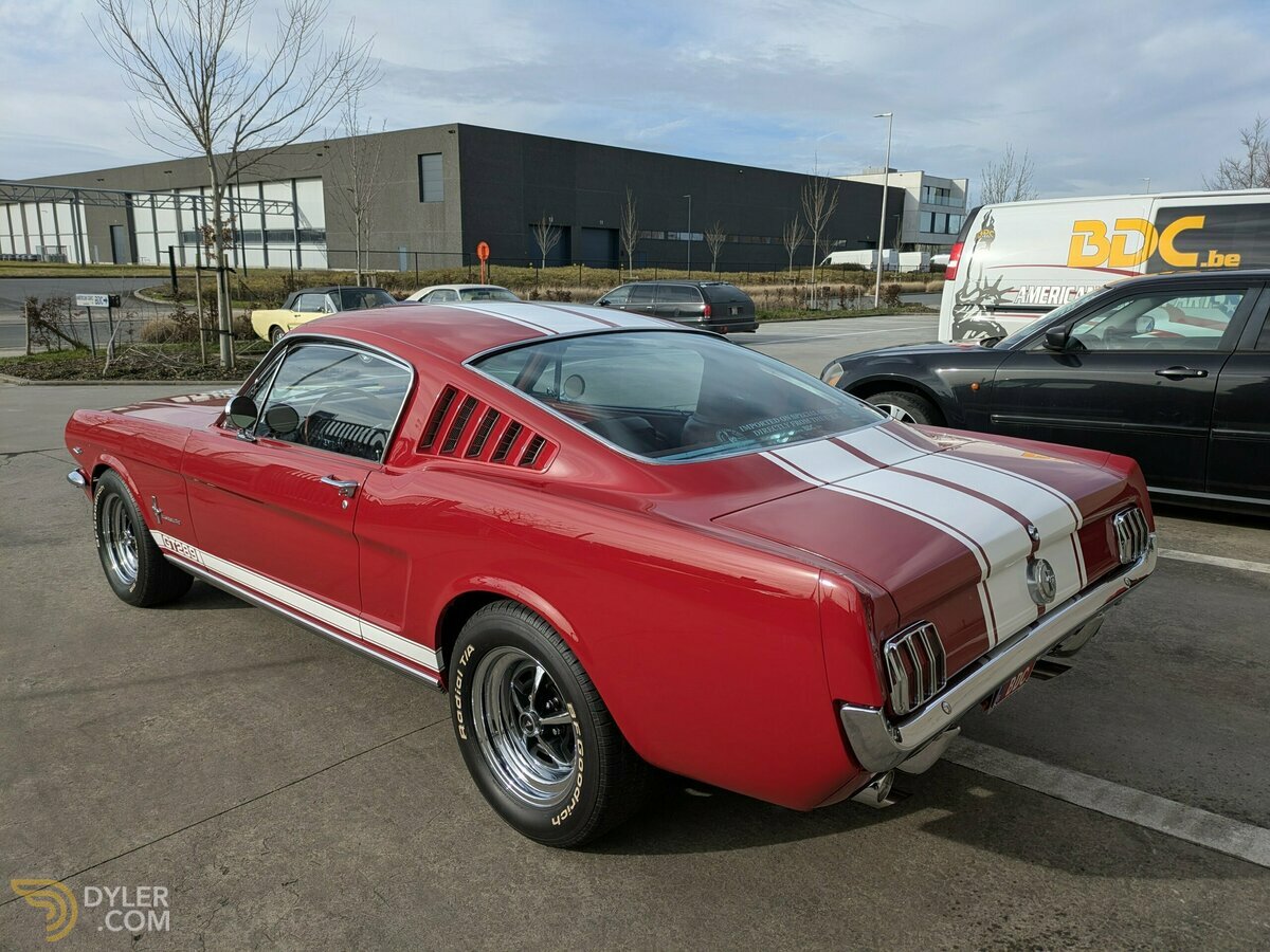 1966 Ford Mustang Fastback 2+2 GT289, foto 8