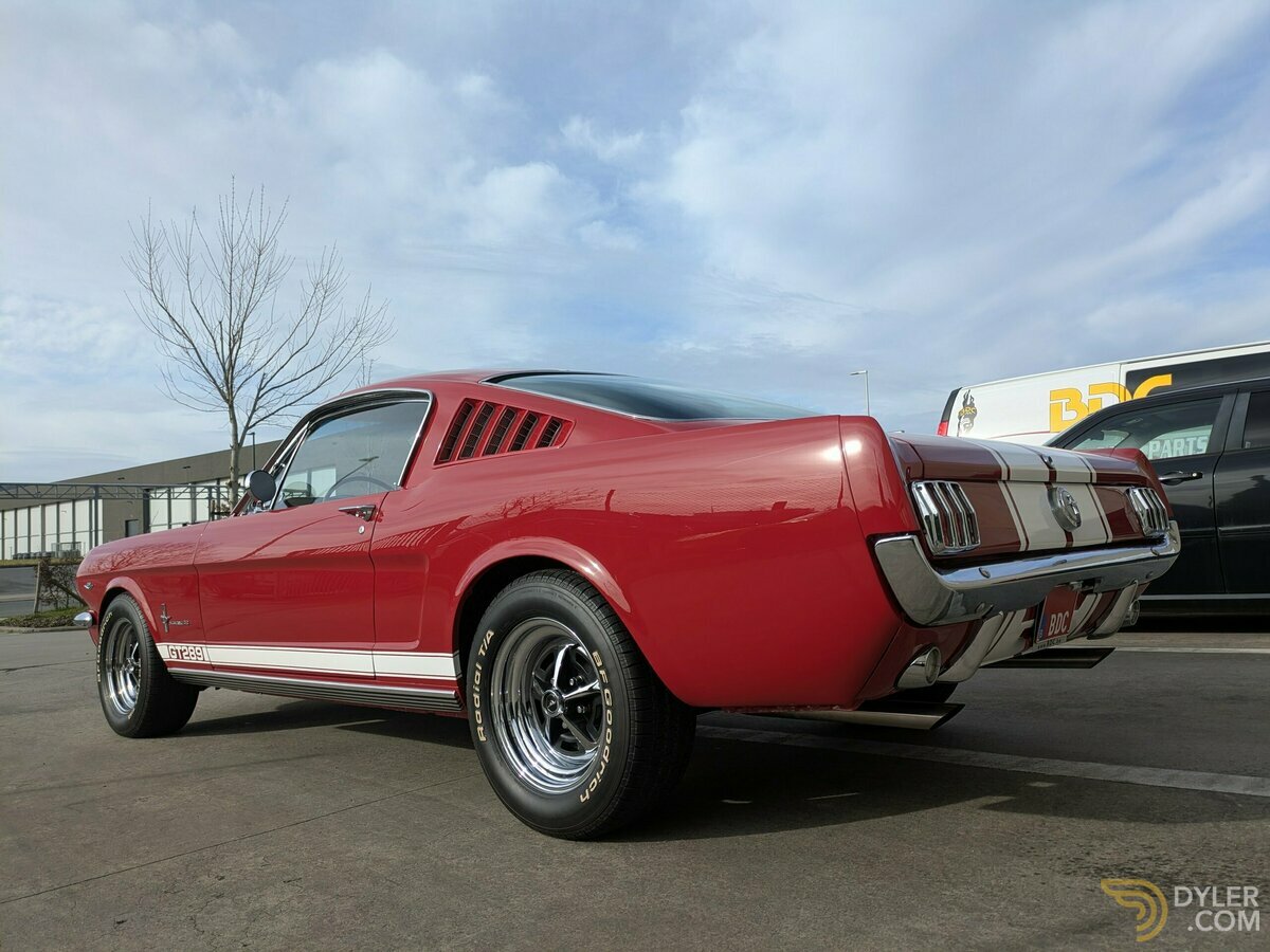 1966 Ford Mustang Fastback 2+2 GT289, foto 9