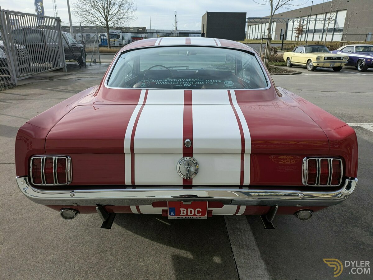 1966 Ford Mustang Fastback 2+2 GT289, foto 10