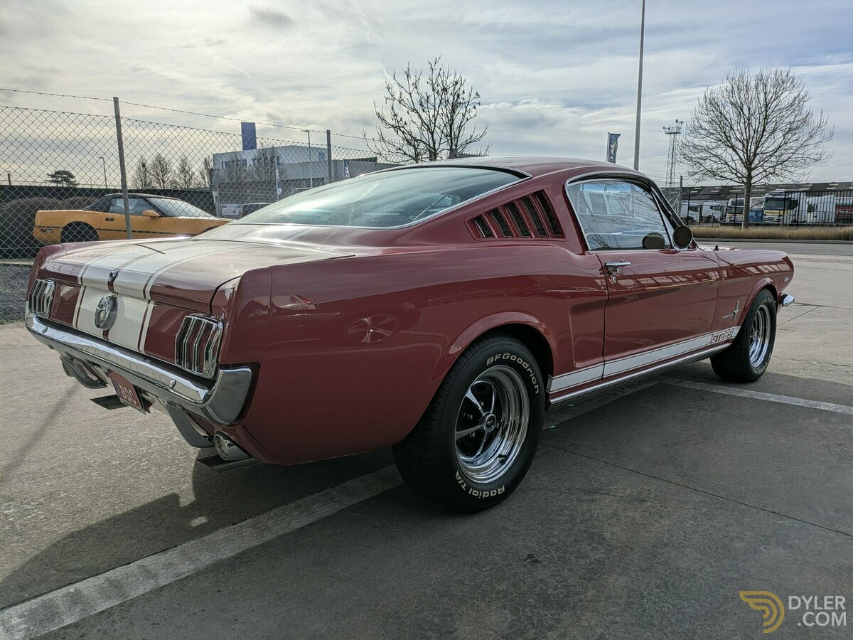 1966 Ford Mustang Fastback 2+2 GT289, foto 11