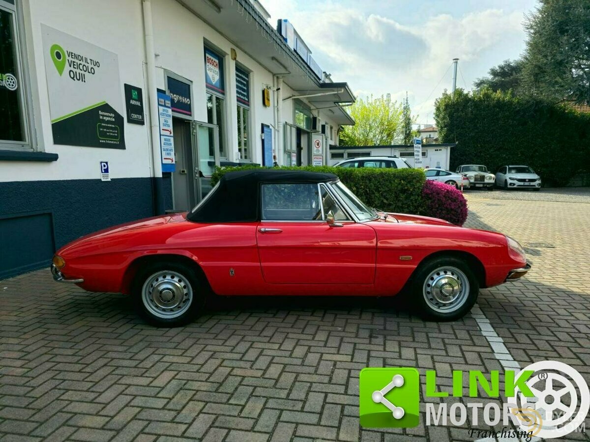 1969 Alfa Romeo Spider 1750 OSSO DI SEPPIA / RESTAURO TOTALE, foto 8