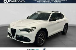 Alfa Romeo Stelvio 2.2 Turbodiesel 190 CV AT8 Q4 Executive SUV 2019 Bianco