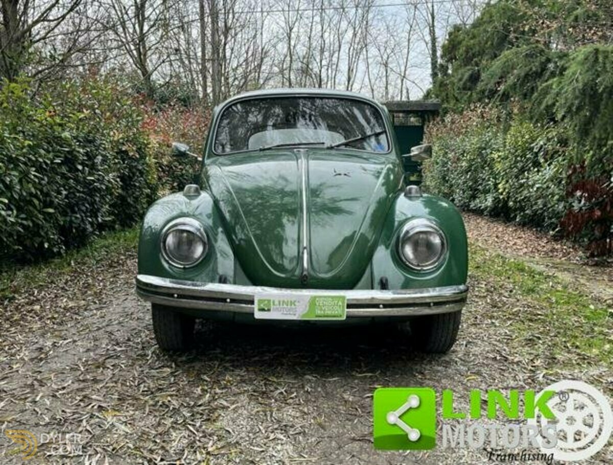 1970 Volkswagen Beetle, foto 7