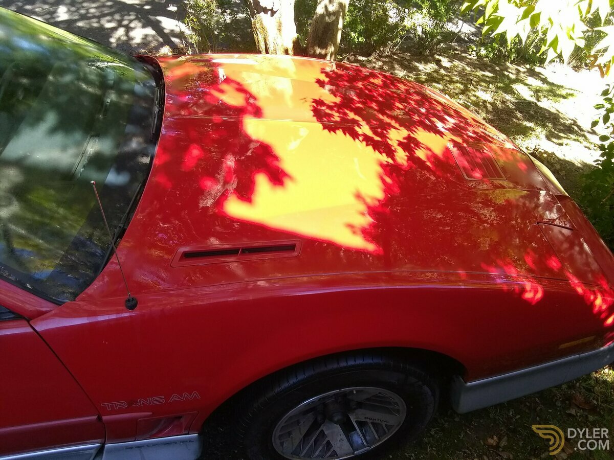 1987 Pontiac Firebird Trans Am 5.0 liter V8 mpfi engine, foto 3