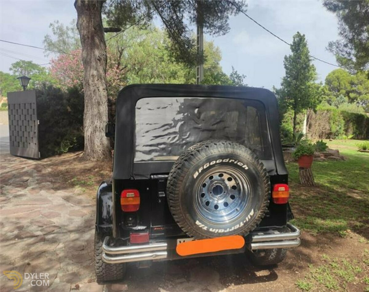 1993 Jeep Wrangler Hard-top, foto 3