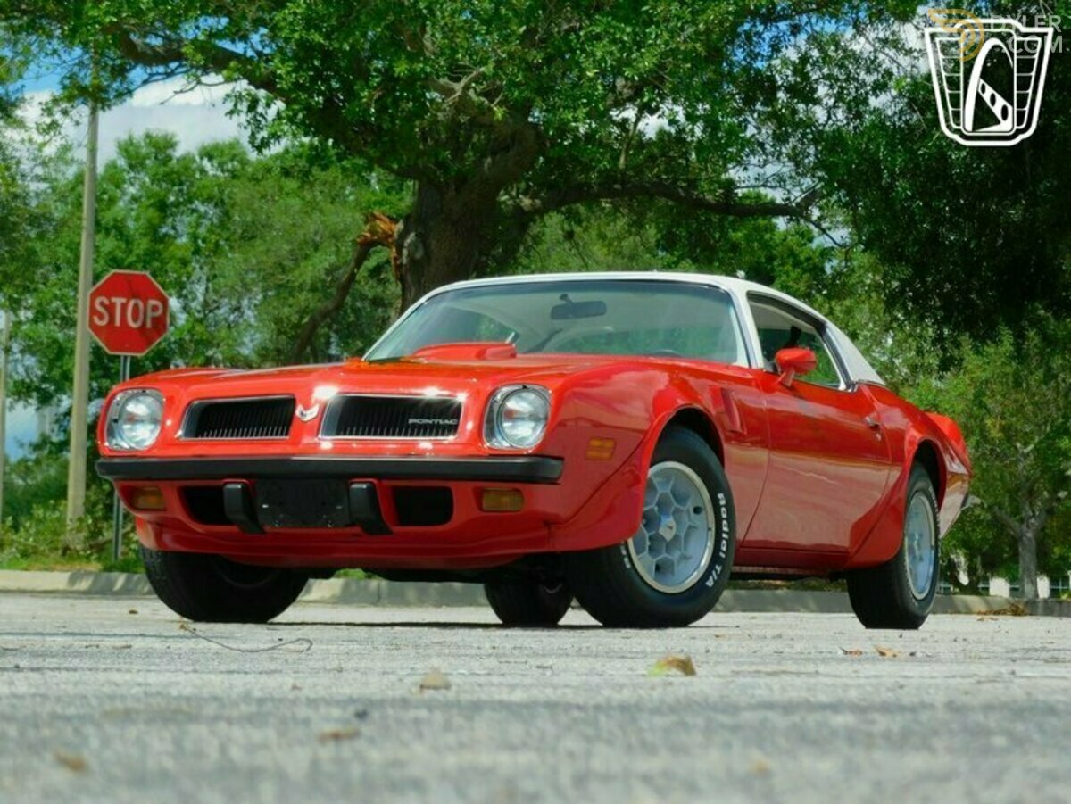 1974 Pontiac Firebird Trans Am Trans Am, foto 2