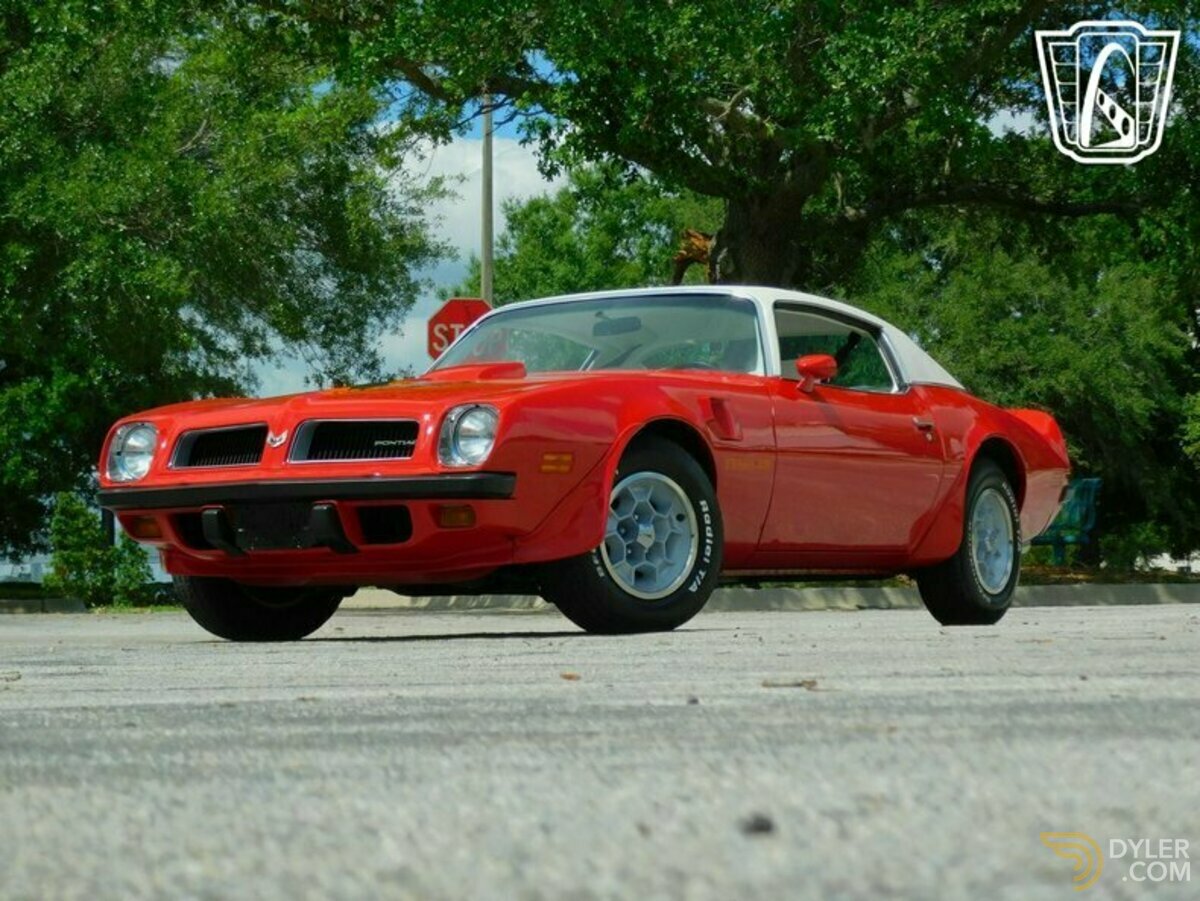 1974 Pontiac Firebird Trans Am Trans Am, foto 3