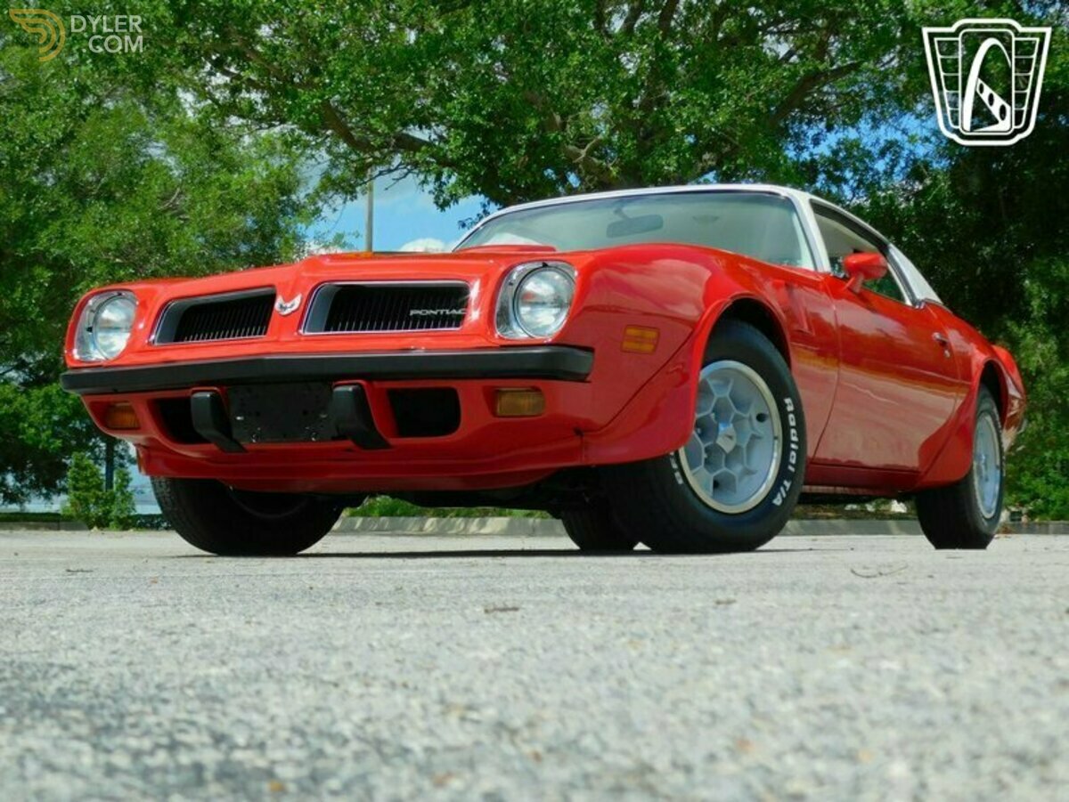 1974 Pontiac Firebird Trans Am Trans Am, foto 4