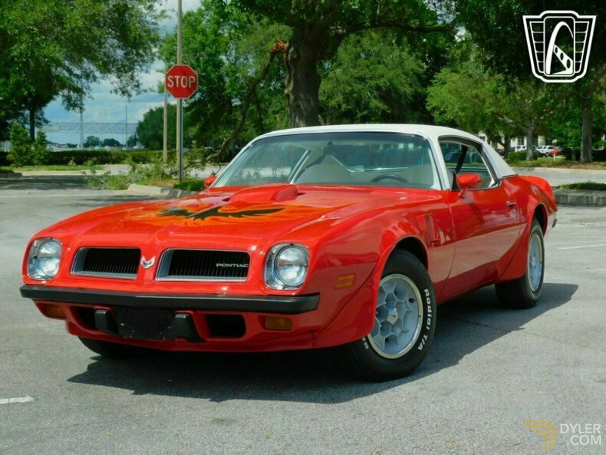 1974 Pontiac Firebird Trans Am Trans Am, foto 5