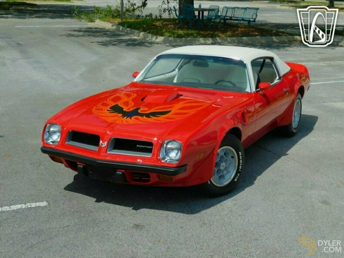 1974 Pontiac Firebird Trans Am Trans Am, foto 6