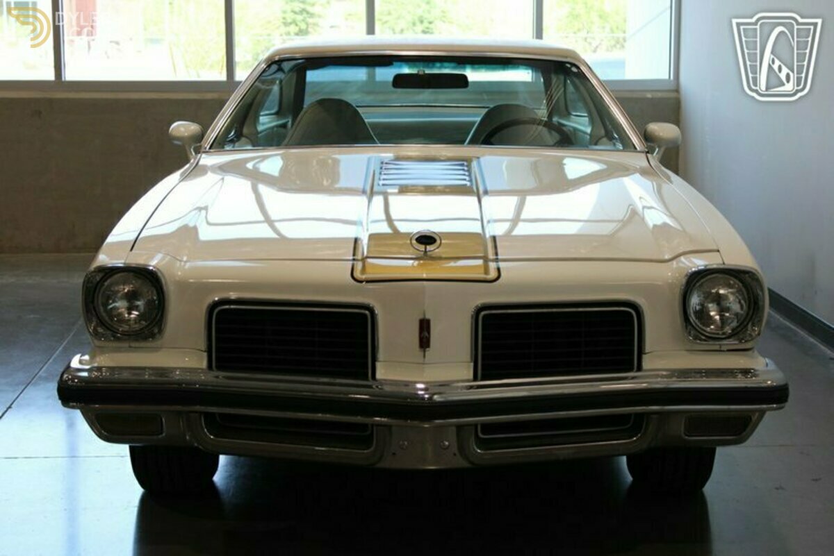 1974 Oldsmobile Cutlass Hurst HO, foto 8
