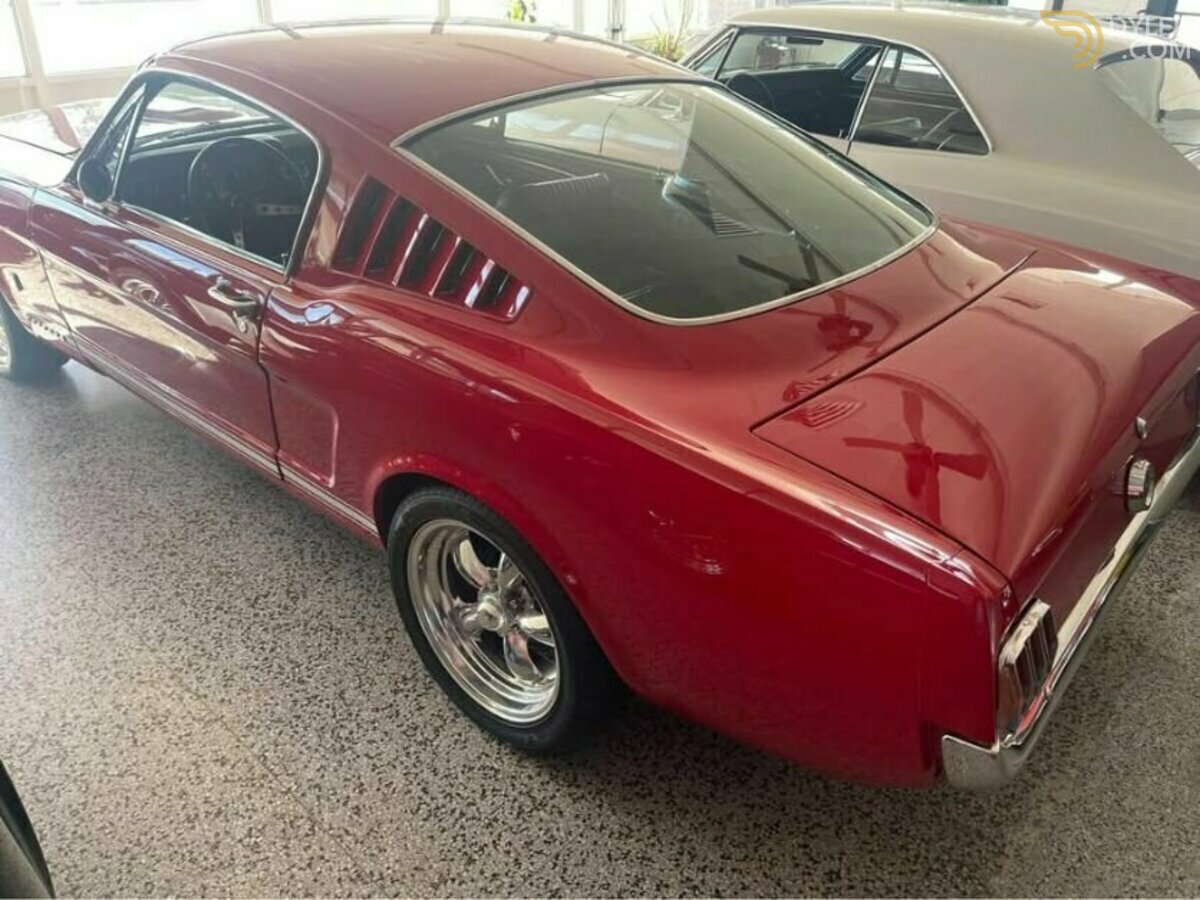 1966 Ford Mustang Fastback, foto 3