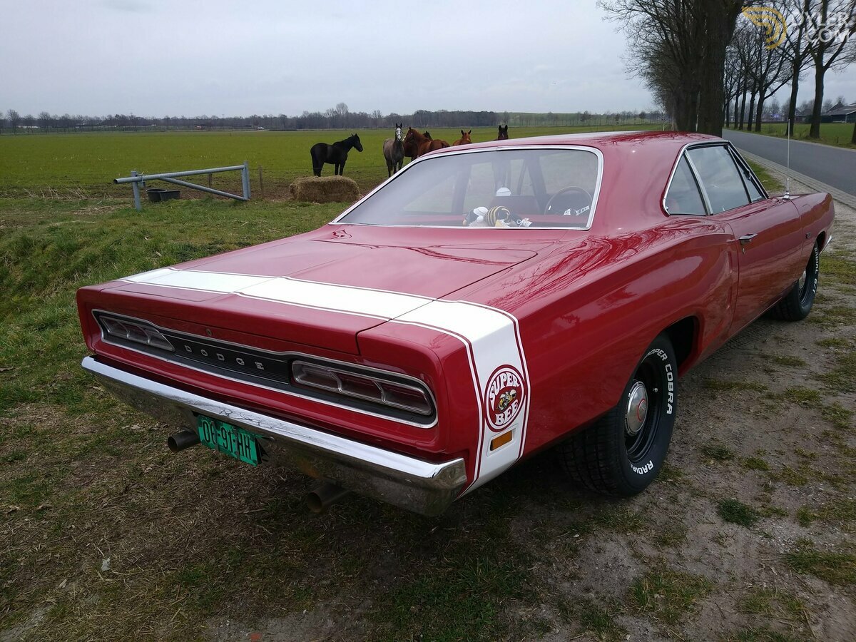 1969 Dodge Super Bee, foto 3