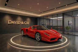 Ferrari Enzo Coupe 2003 Red