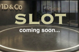 Aston Martin V8 Valhalla US-Specification Allocation 2026 Multicolor