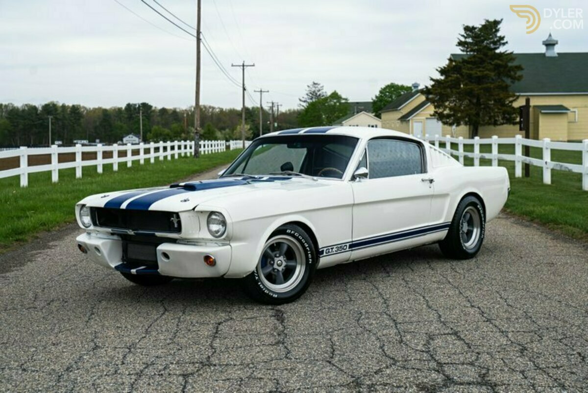 1965 Ford Mustang Fastback GT350 Tribute, foto 1