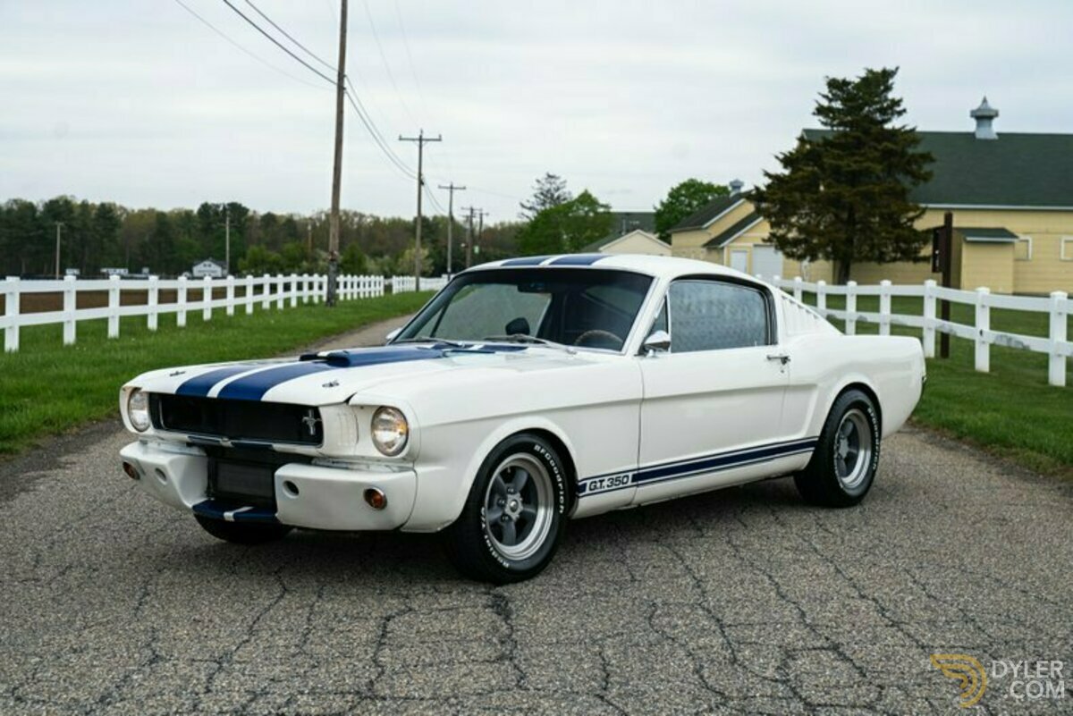 1965 Ford Mustang Fastback GT350 Tribute, foto 5