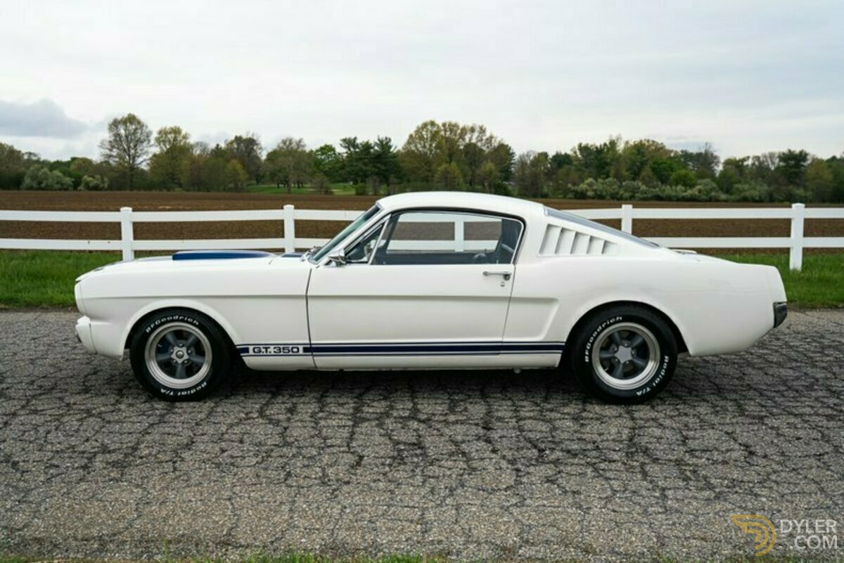 1965 Ford Mustang Fastback GT350 Tribute, foto 6
