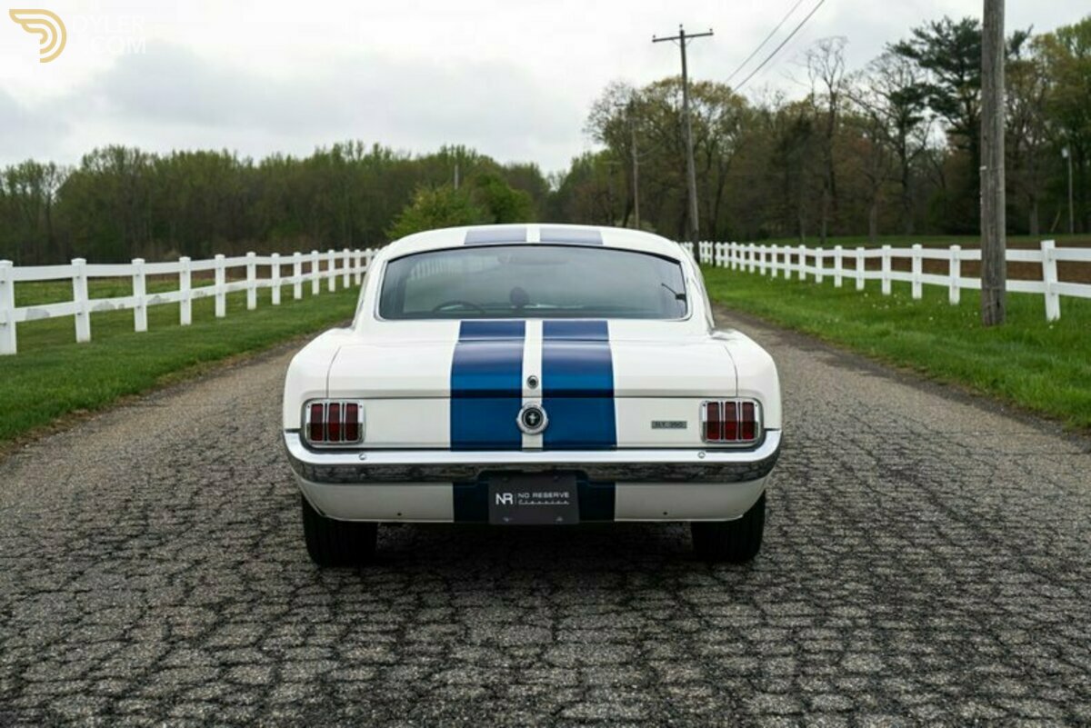 1965 Ford Mustang Fastback GT350 Tribute, foto 8