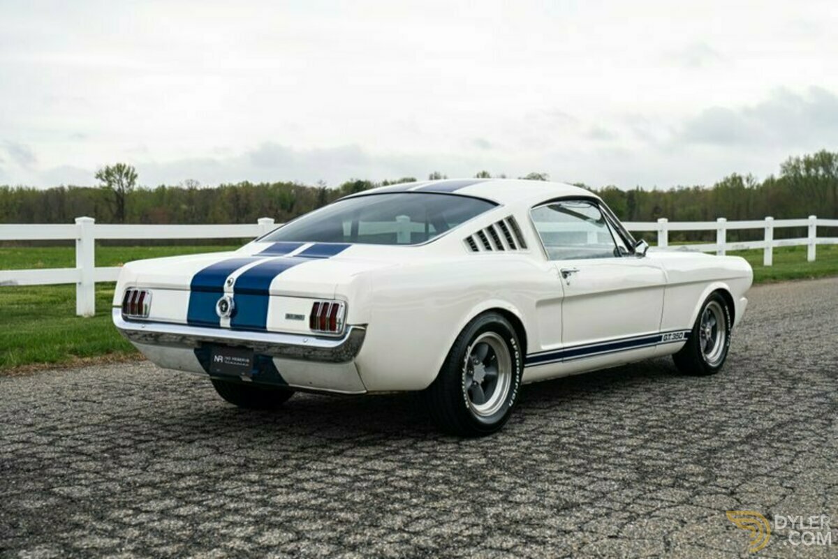 1965 Ford Mustang Fastback GT350 Tribute, foto 9