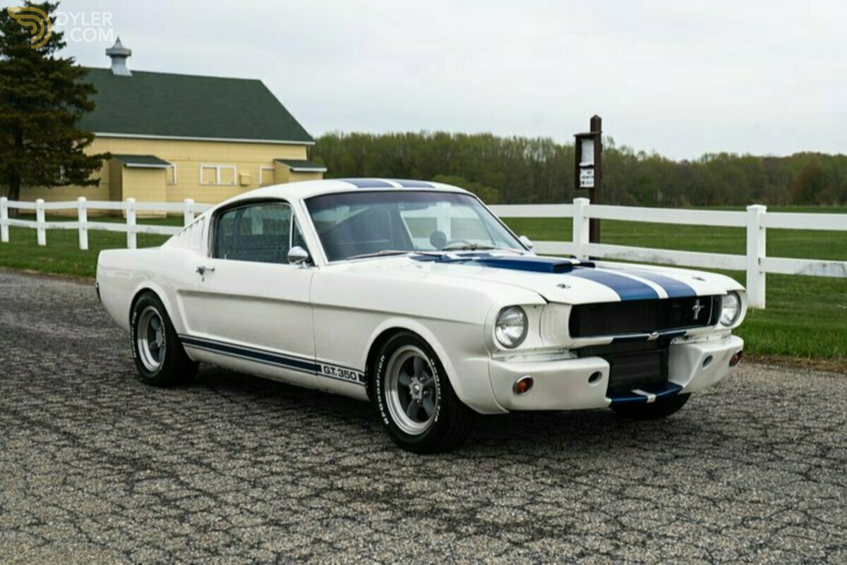 1965 Ford Mustang Fastback GT350 Tribute, foto 11