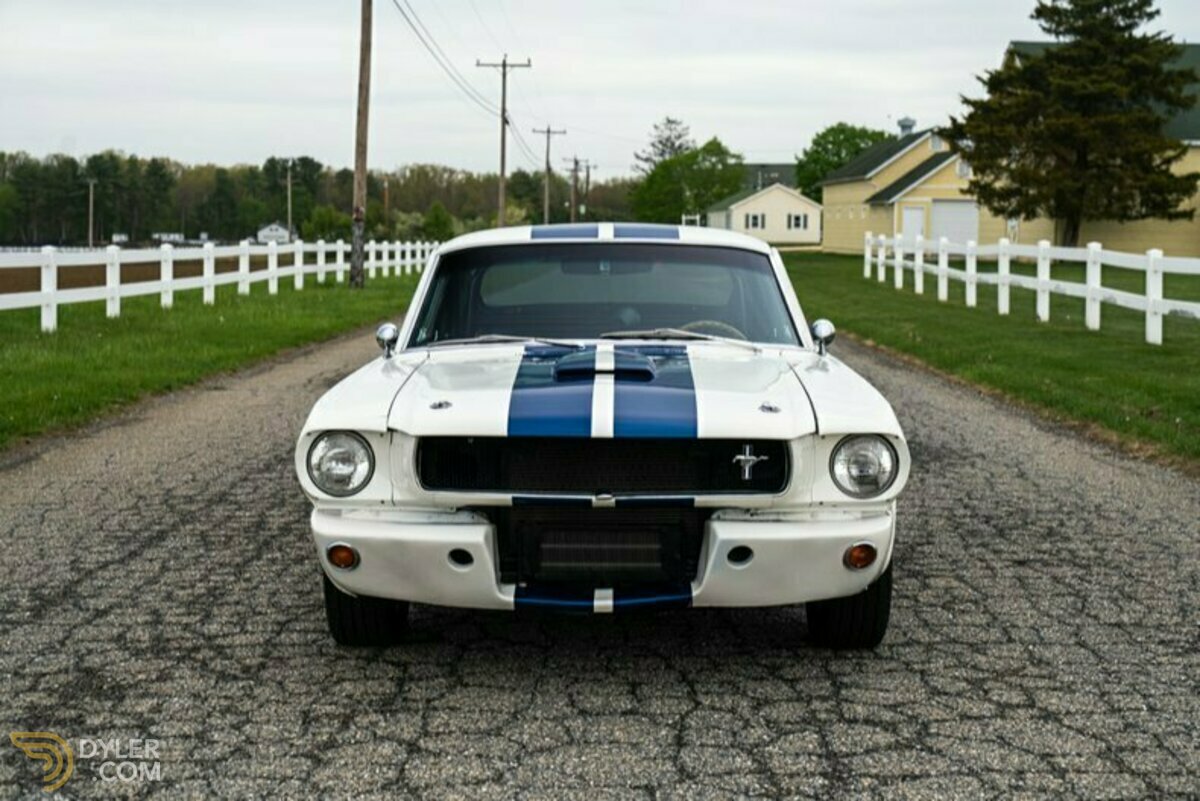 1965 Ford Mustang Fastback GT350 Tribute, foto 12