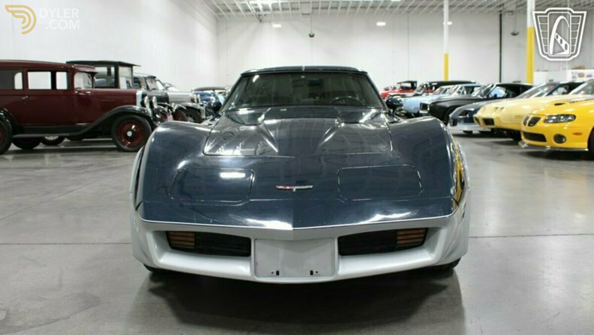 1981 Chevrolet Corvette, foto 10