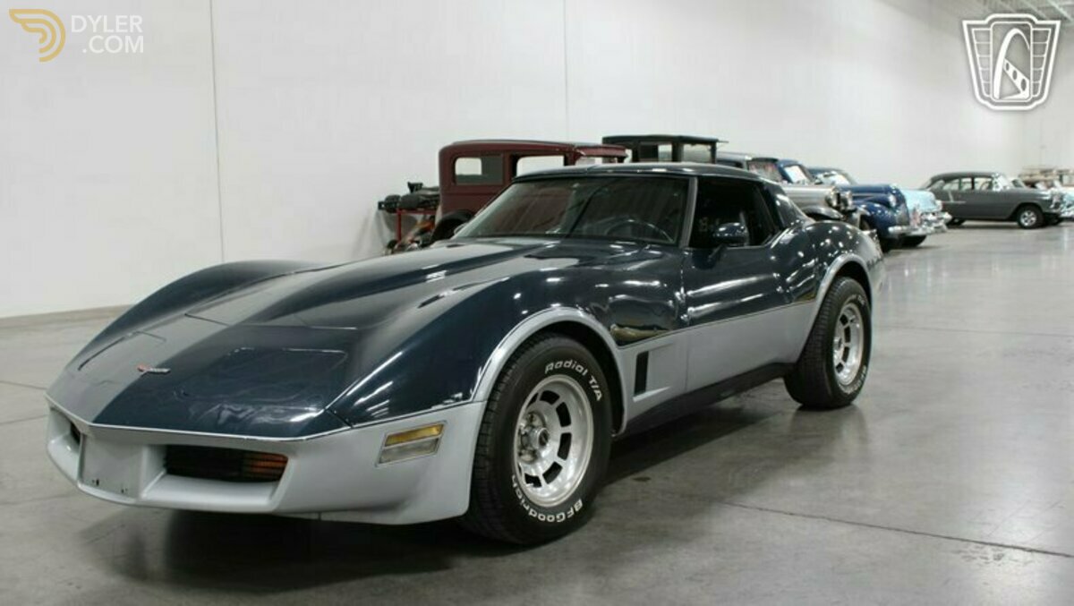 1981 Chevrolet Corvette, foto 11