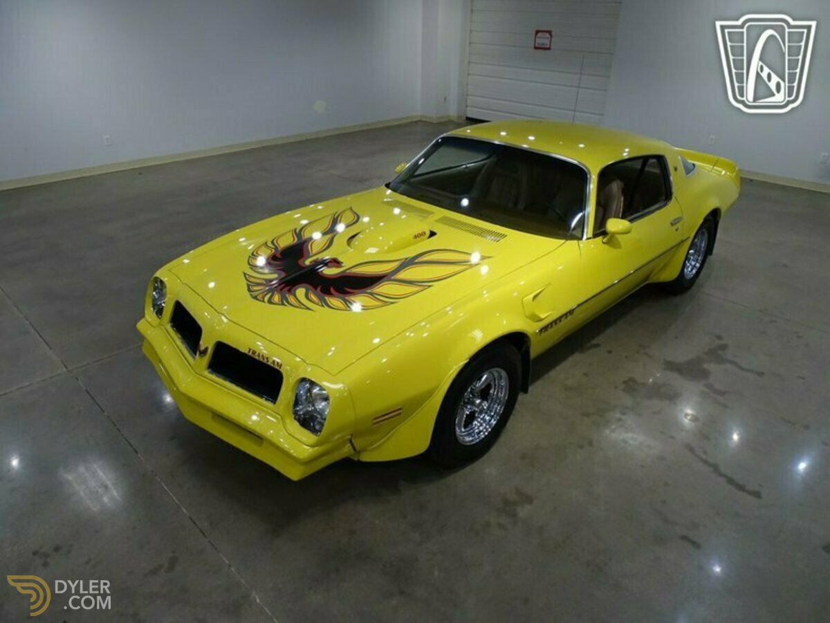 1976 Pontiac Firebird Trans Am, foto 2