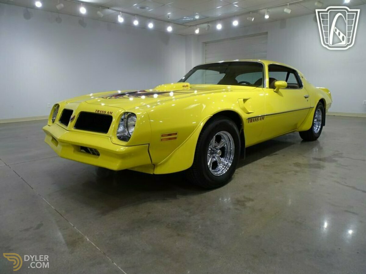 1976 Pontiac Firebird Trans Am, foto 3