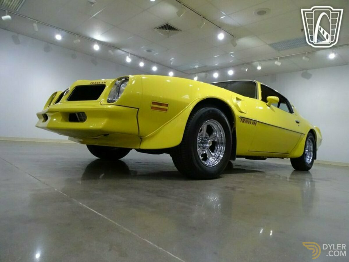 1976 Pontiac Firebird Trans Am, foto 4