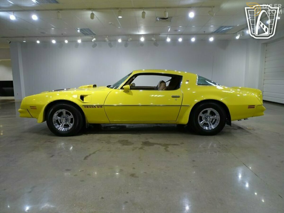 1976 Pontiac Firebird Trans Am, foto 6