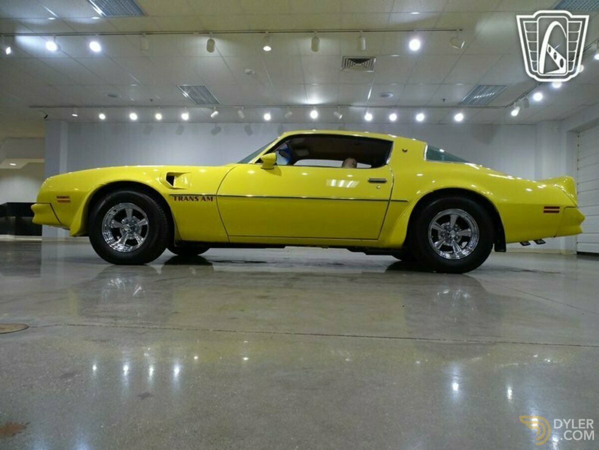 1976 Pontiac Firebird Trans Am, foto 7