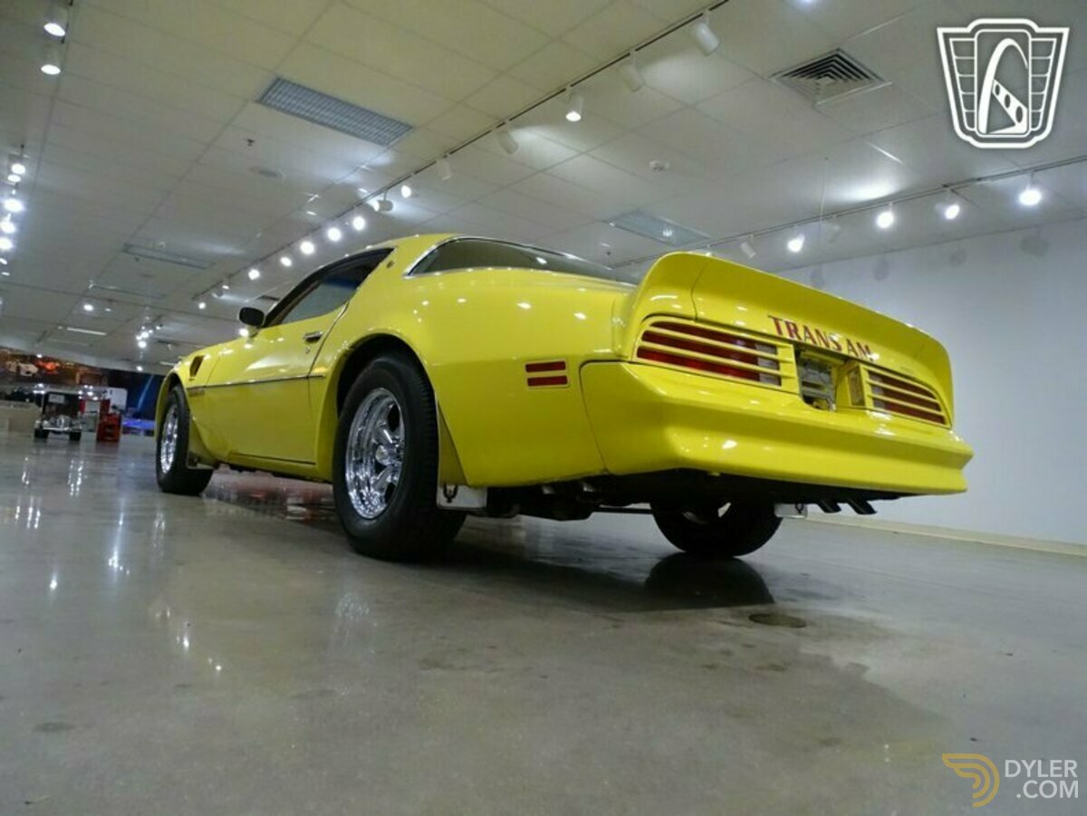 1976 Pontiac Firebird Trans Am, foto 10
