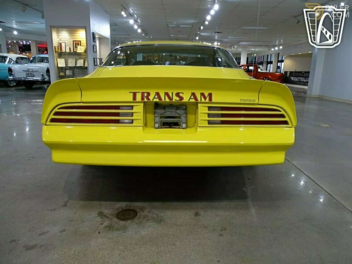 1976 Pontiac Firebird Trans Am, foto 12