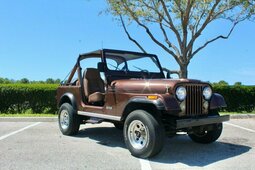Jeep Renegade Off-road 1984 Brown