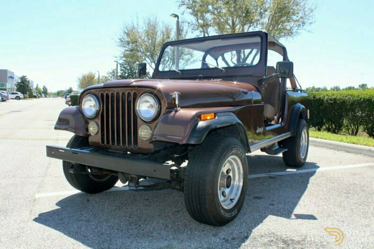 1984 Jeep Renegade, foto 6