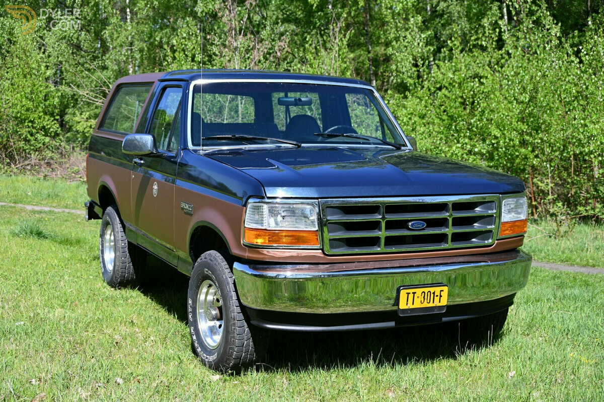 1993 Ford Bronco 1993 FordFord Bronco 5.0 V8 automatic 4X4, foto 8