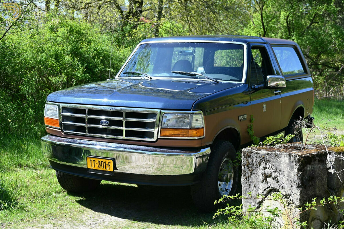 1993 Ford Bronco 1993 FordFord Bronco 5.0 V8 automatic 4X4, foto 10